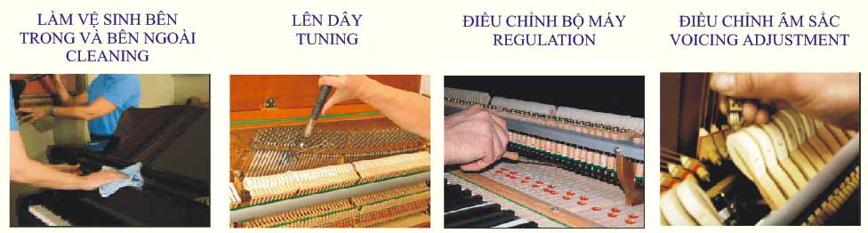 Cách bảo quản đàn piano tốt nhất ở khí hậu Việt Nam